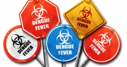 Dengue-Fieber